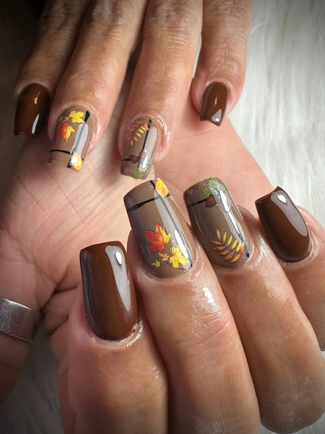 Miss Jules - Gellak Chestnut Brown