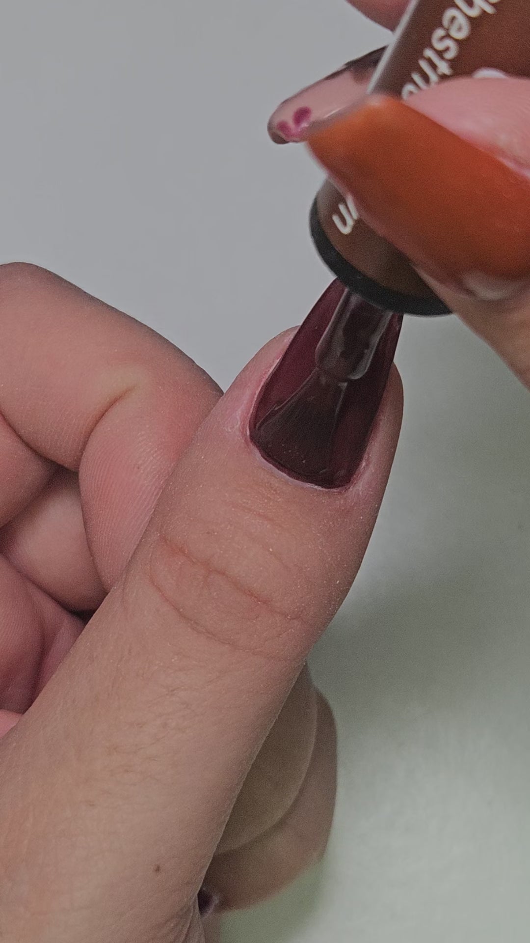 Gellak Chestnut Brown